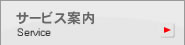 ���K�E�g�����h�̃T�[�r�X�Ɩ��ē�